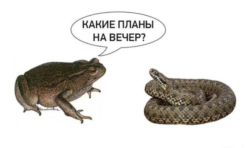 Російський уряд захищає кіберзлочинців